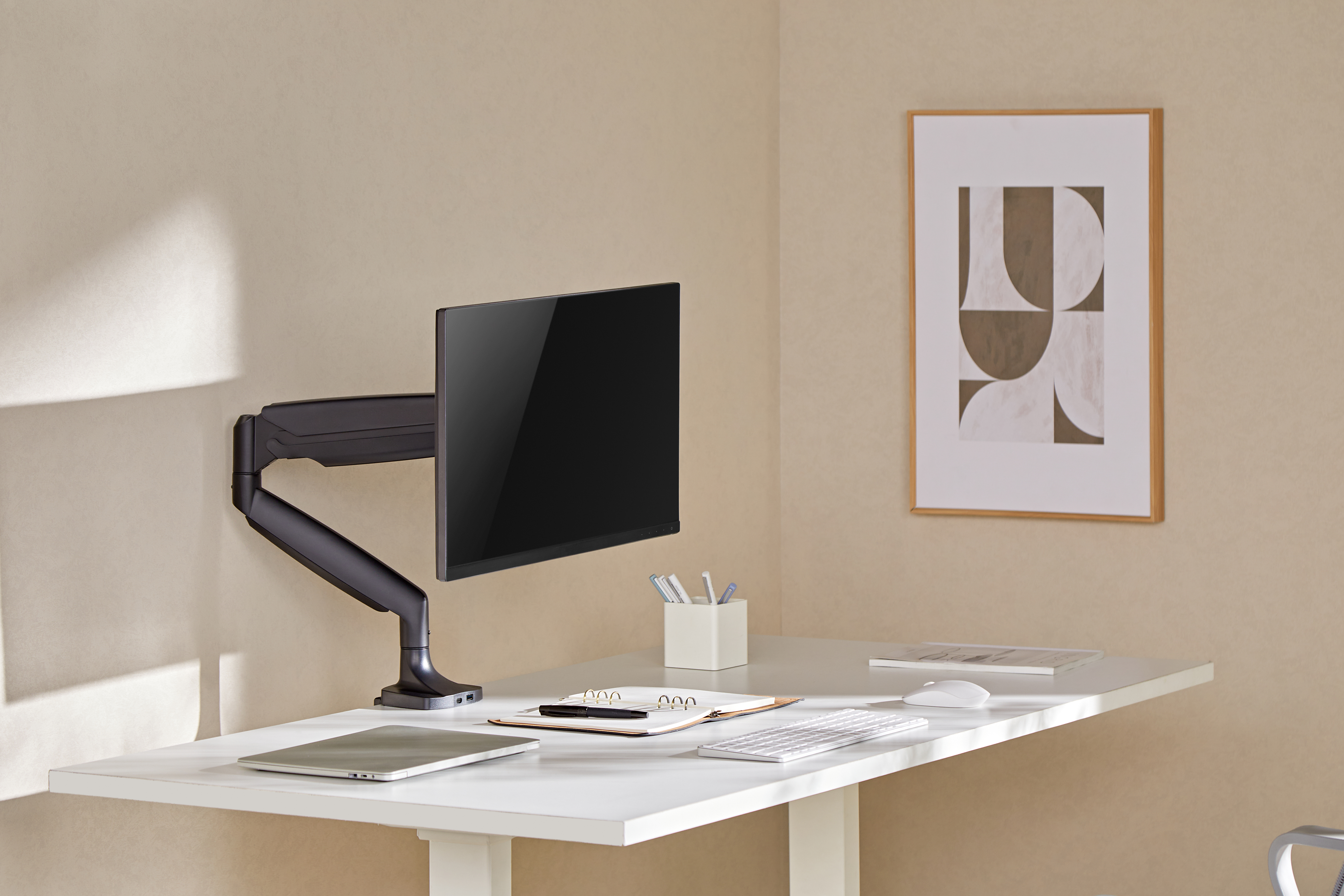 Monitor Arm BS-3